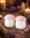 Fairy Folklore Mushroom Salt & Pepper Shakers